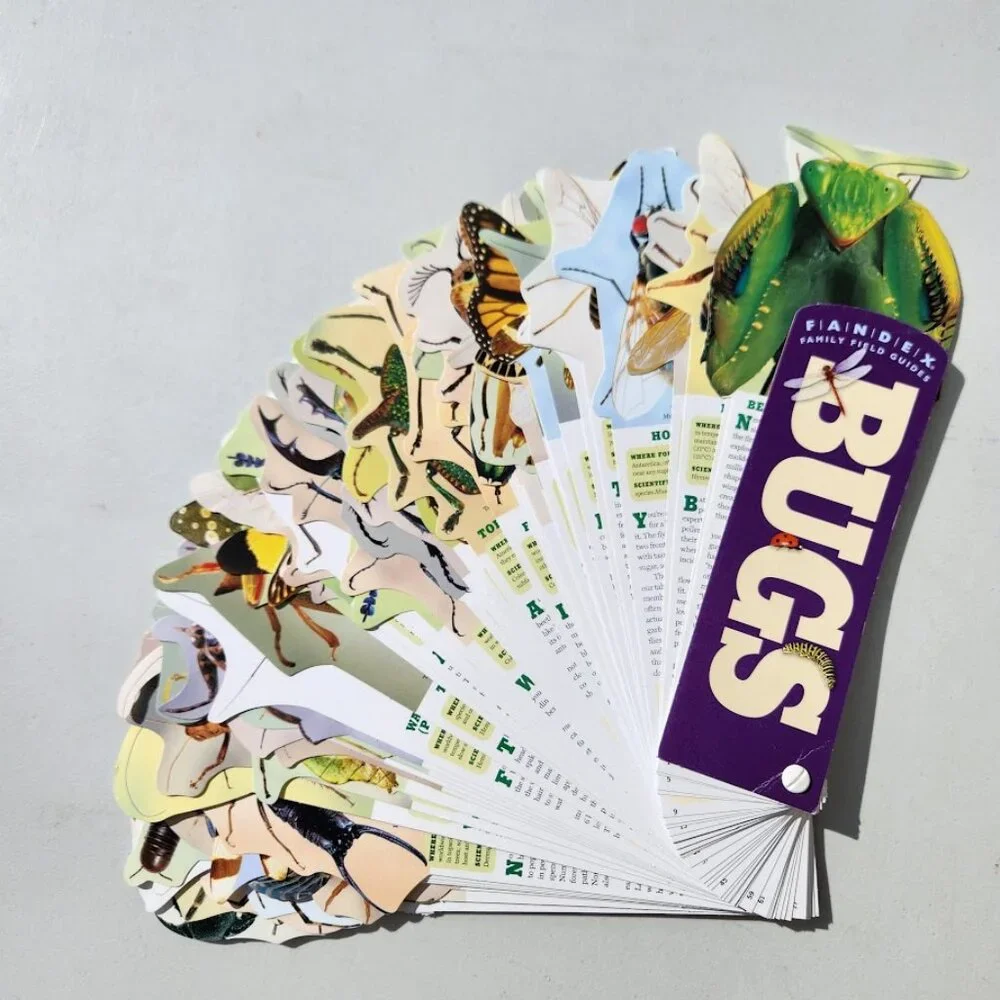Bugs Insects Identification Pocket Field Guide Book Fandex Nature Identification